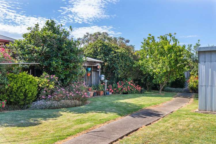 Fifth view of Homely house listing, 166 William Street, St Albans VIC 3021