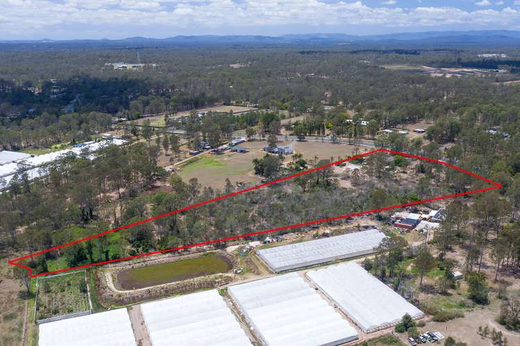 Fifth view of Homely acreageSemiRural listing, 173-189 New Beith Road, Greenbank QLD 4124