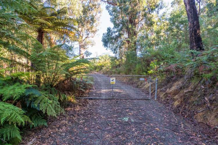 Main view of Homely residentialLand listing, 121 The Eagles Nest Road, Marysville VIC 3779