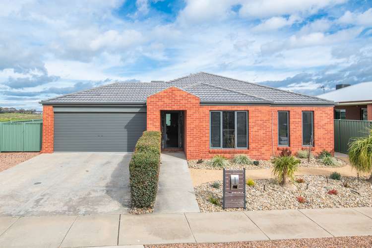 Main view of Homely house listing, 14 Lapwing Street, Kialla VIC 3631