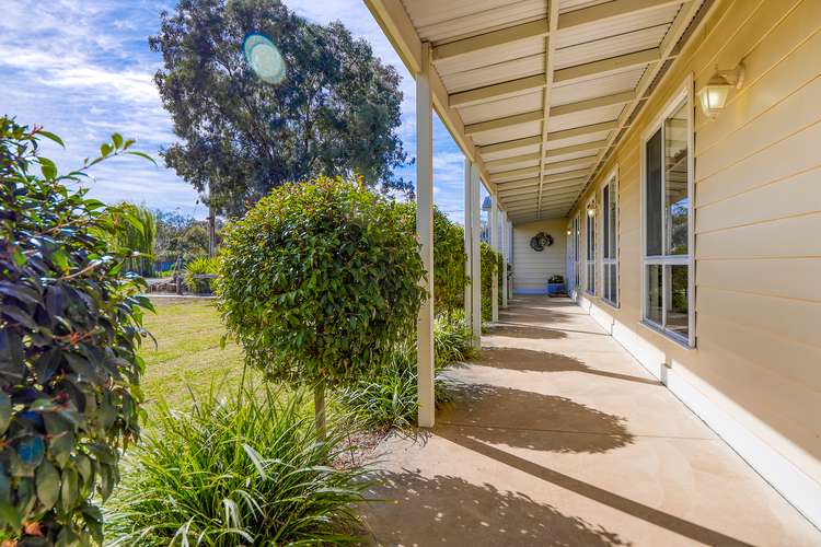 Sixth view of Homely acreageSemiRural listing, 9 Phillip Road, Nathalia VIC 3638