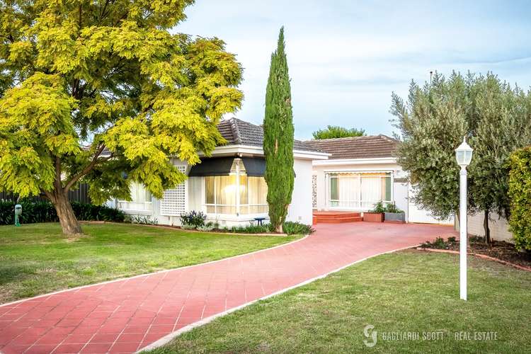 Main view of Homely house listing, 3 Hill Street, Shepparton VIC 3630