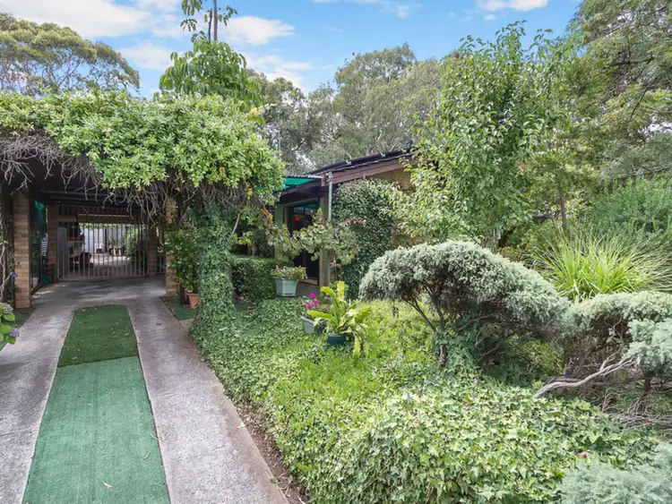 30 Camelia Street, Tea Tree Gully SA 5091