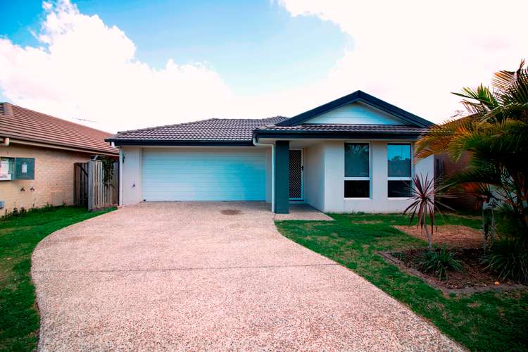Main view of Homely house listing, 16 Collingrove Circuit, Pimpama QLD 4209