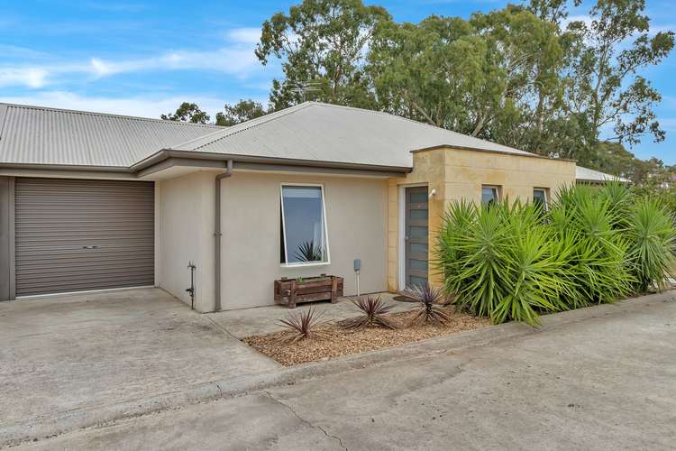 Main view of Homely house listing, 4/4 Fiebig Court, Lyndoch SA 5351