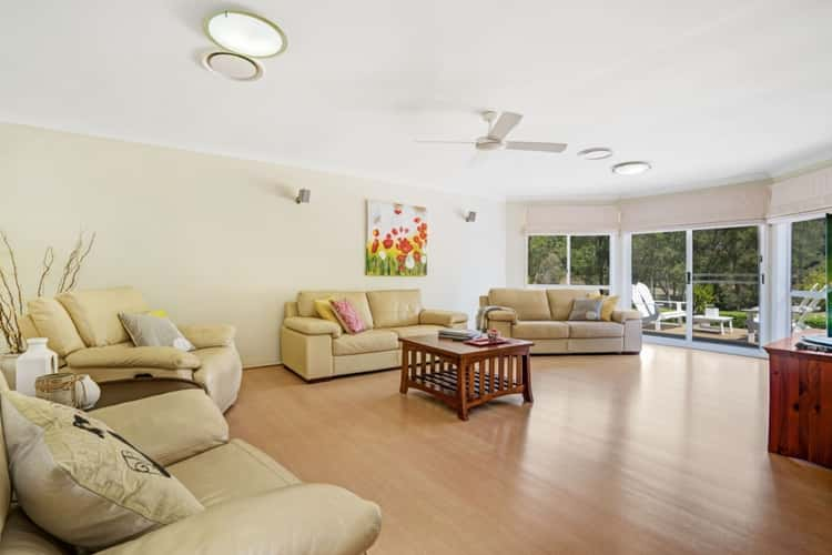 Fifth view of Homely acreageSemiRural listing, 31 Hilldale Drive, Bolwarra Heights NSW 2320