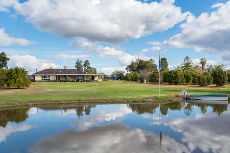 Main view of Homely acreageSemiRural listing, 237 Coorong Avenue, Irymple VIC 3498