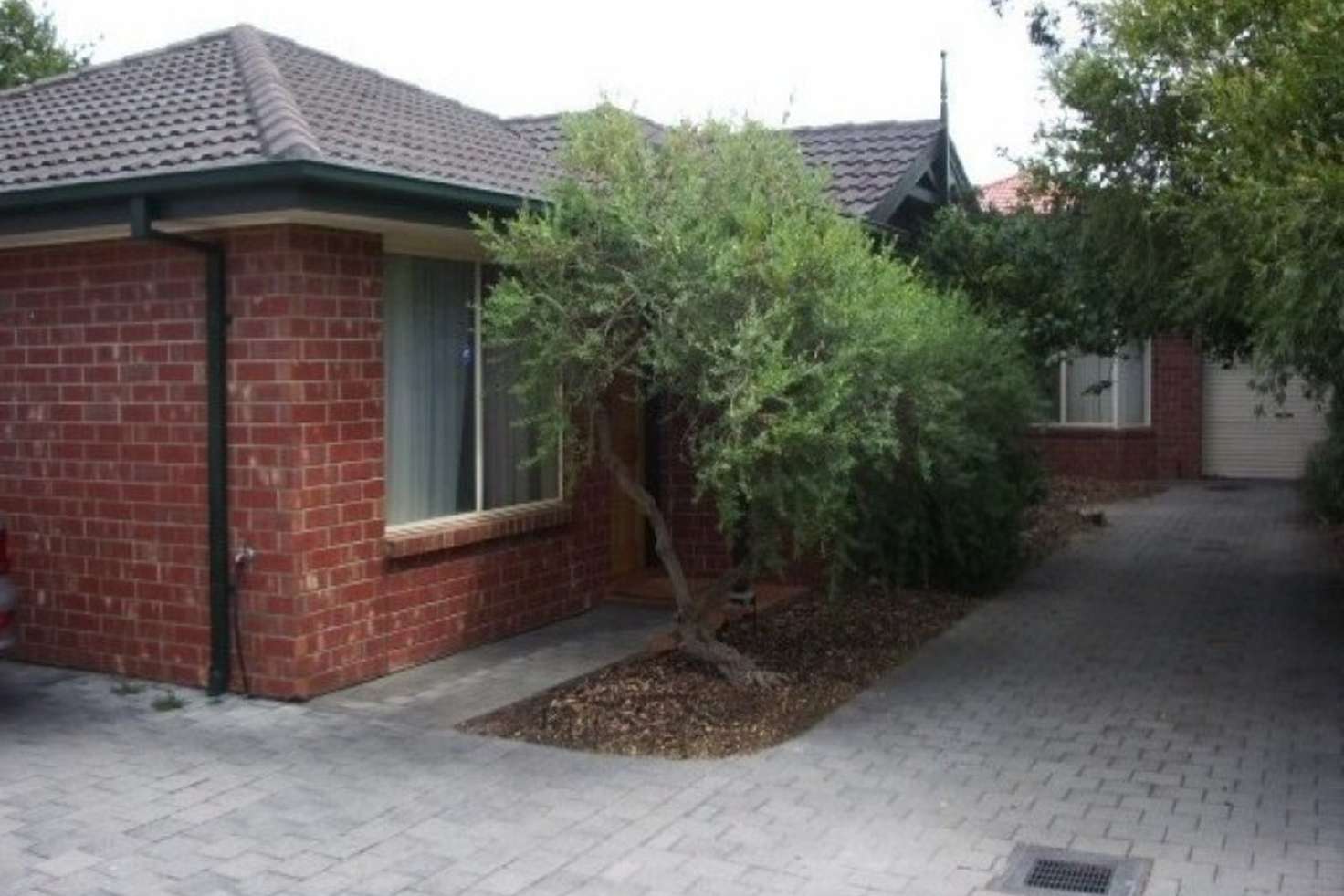Main view of Homely unit listing, 3/53 Angus Avenue, Edwardstown SA 5039