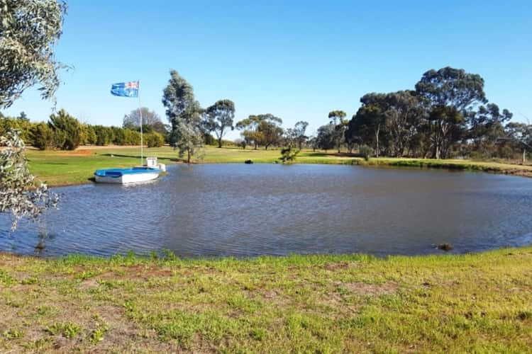 Fifth view of Homely acreageSemiRural listing, 237 Coorong Avenue, Irymple VIC 3498