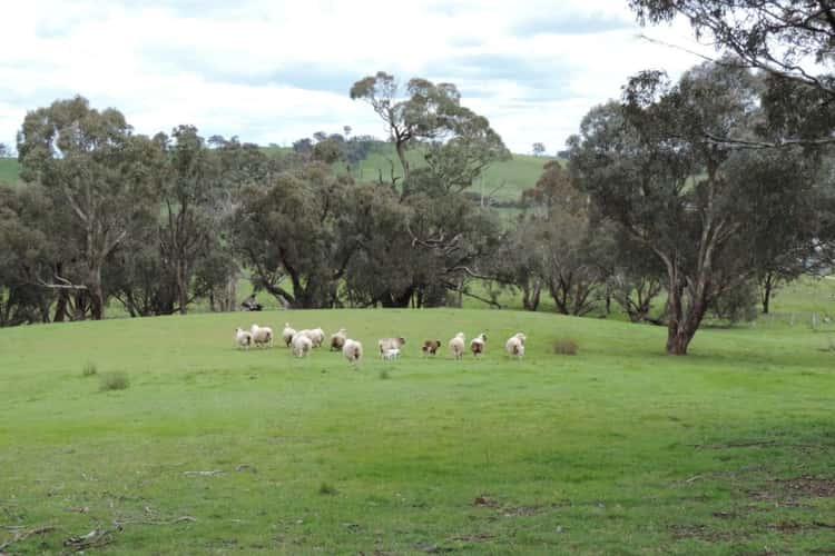 Main view of Homely residentialLand listing, Lot 4 Off Edward Street, Binda NSW 2583