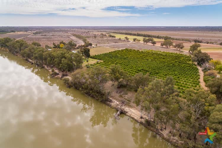 Fifth view of Homely mixedFarming listing, Lot 1/561 Boeill Creek Road, Boeill Creek NSW 2739