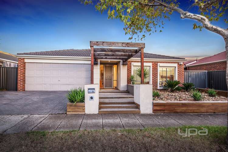 Main view of Homely house listing, 18 Tarcoola Drive, Burnside VIC 3023