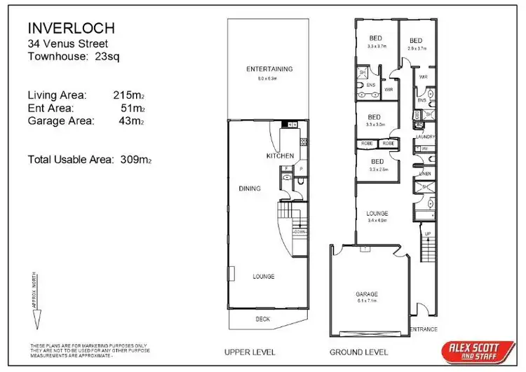 Floorplan of Homely townhouse listing, 34A Venus Street, Inverloch VIC 3996