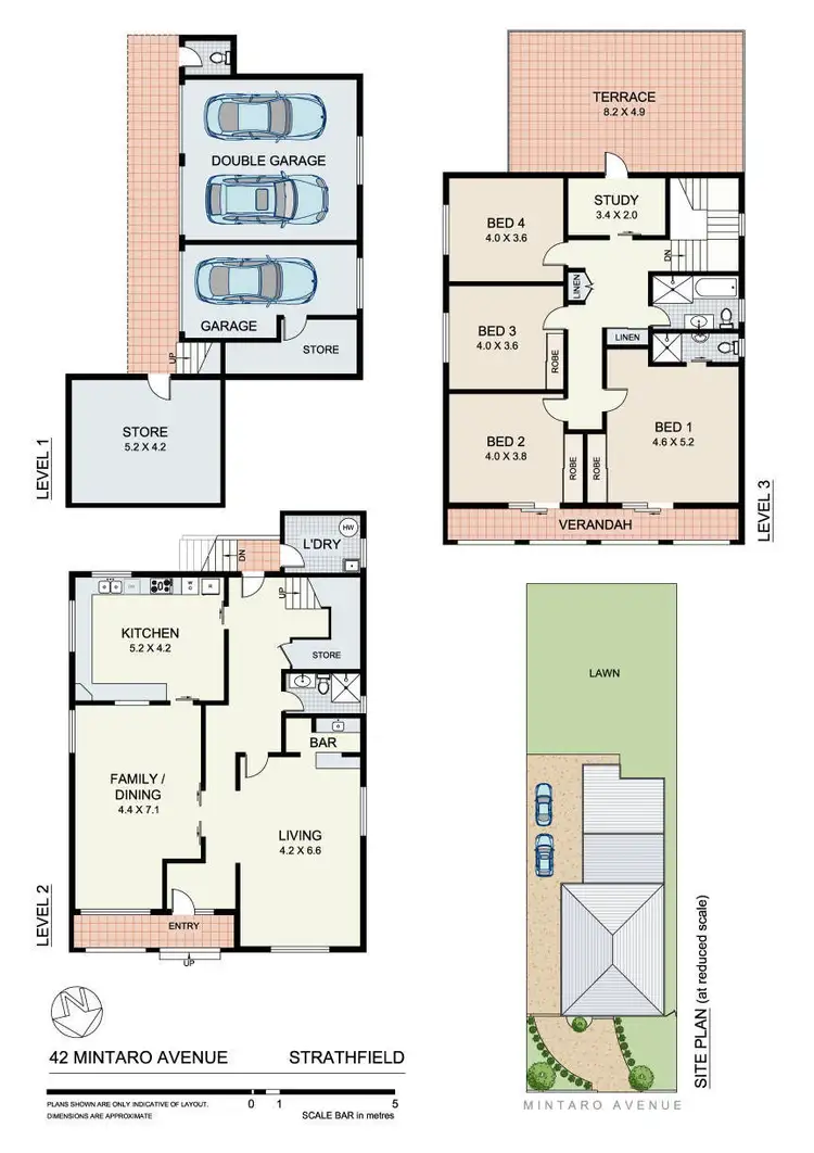 Floorplan of Homely house listing, 42 Mintaro Avenue, Strathfield NSW 2135