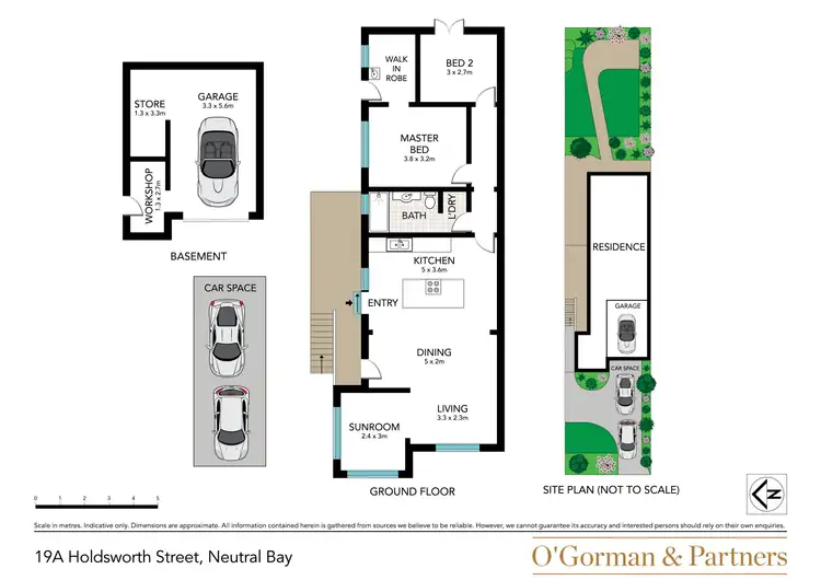 Floorplan of Homely semi-detached listing, 19A Holdsworth Street, Neutral Bay NSW 2089