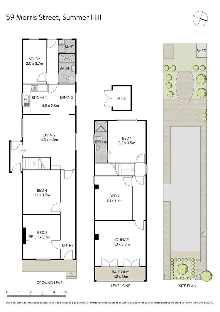 Floorplan of Homely terrace listing, 59 Morris Street, Summer Hill NSW 2130