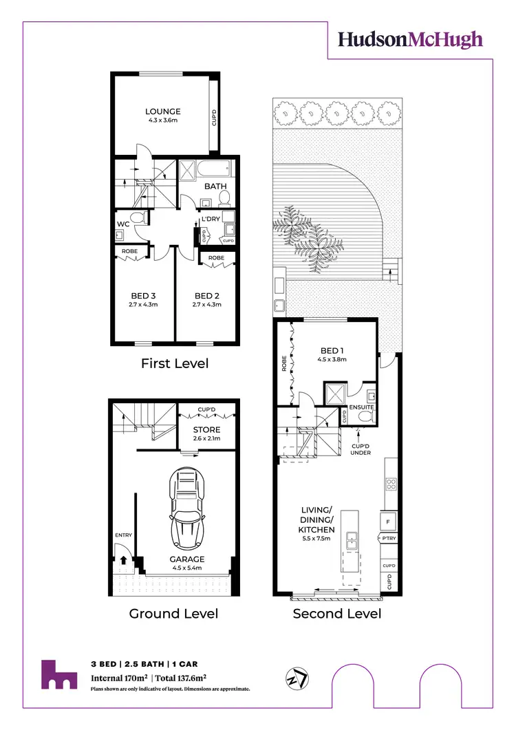 Floorplan of Homely house listing, 163A Trafalgar Lane, Annandale NSW 2038