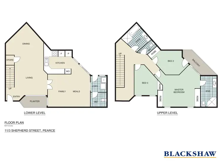 Floorplan of Homely townhouse listing, 11/3 Shepherd Street, Pearce ACT 2607