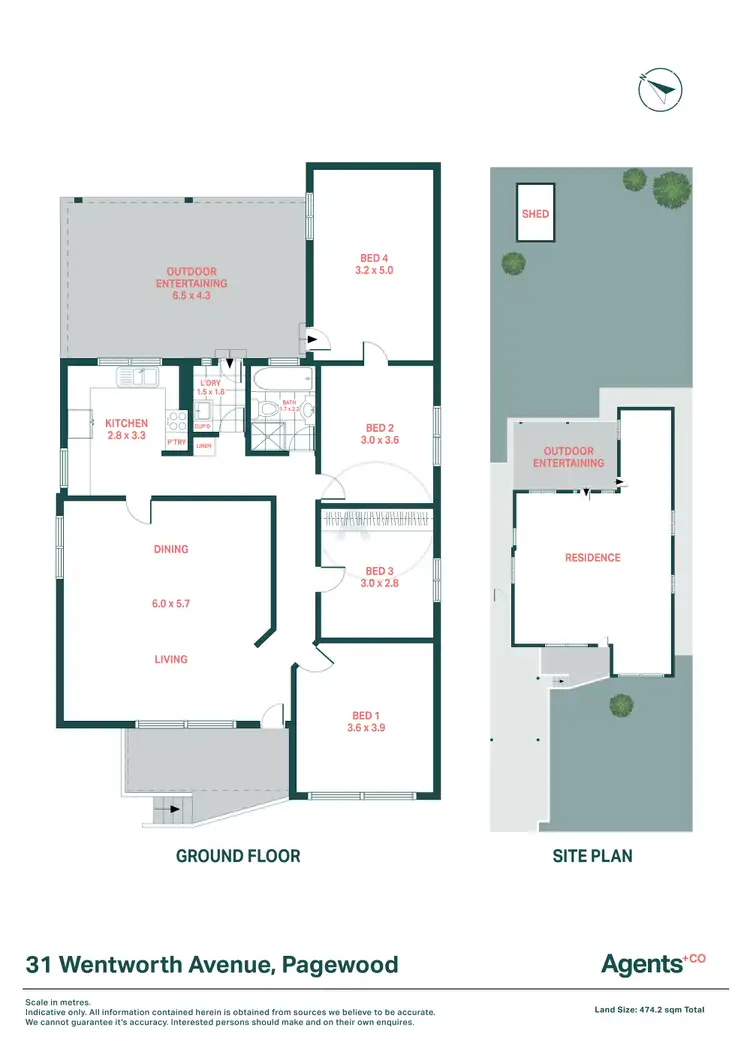 Floorplan of Homely house listing, 31 Wentworth Avenue, Pagewood NSW 2035