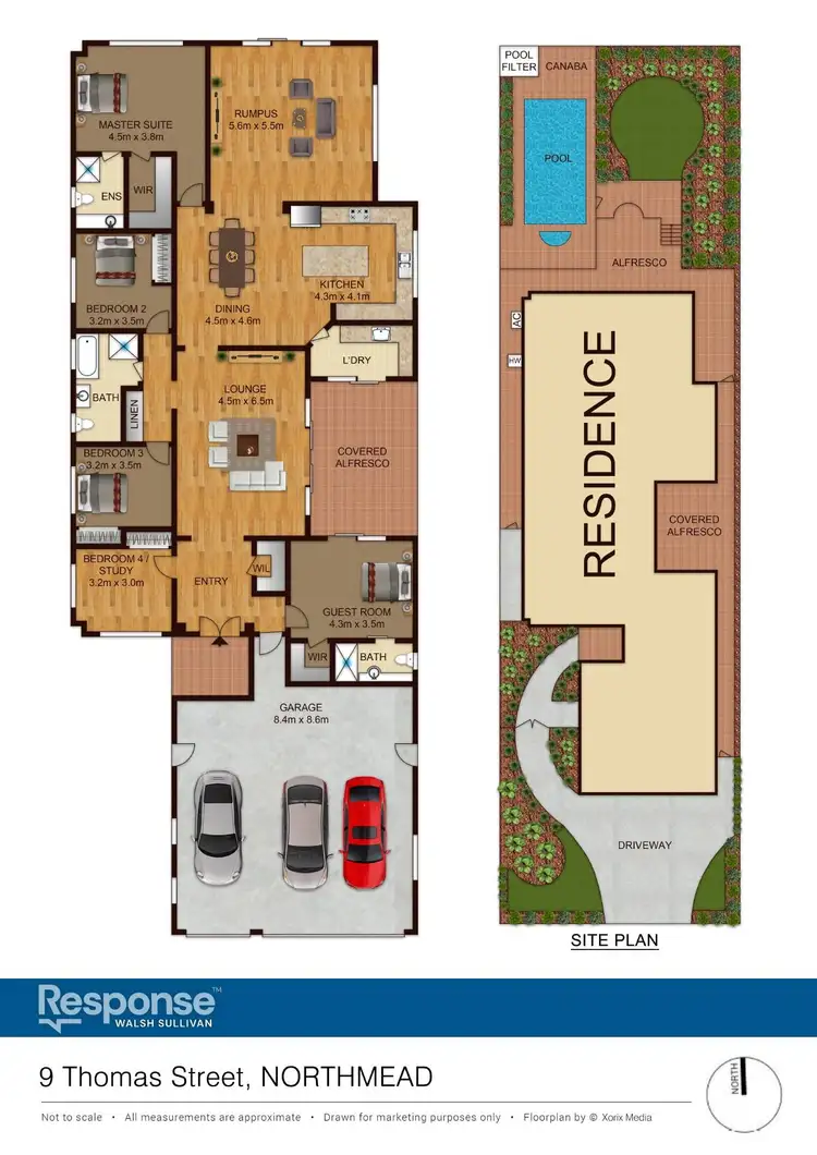Floorplan of Homely house listing, 9 Thomas Street, Northmead NSW 2152