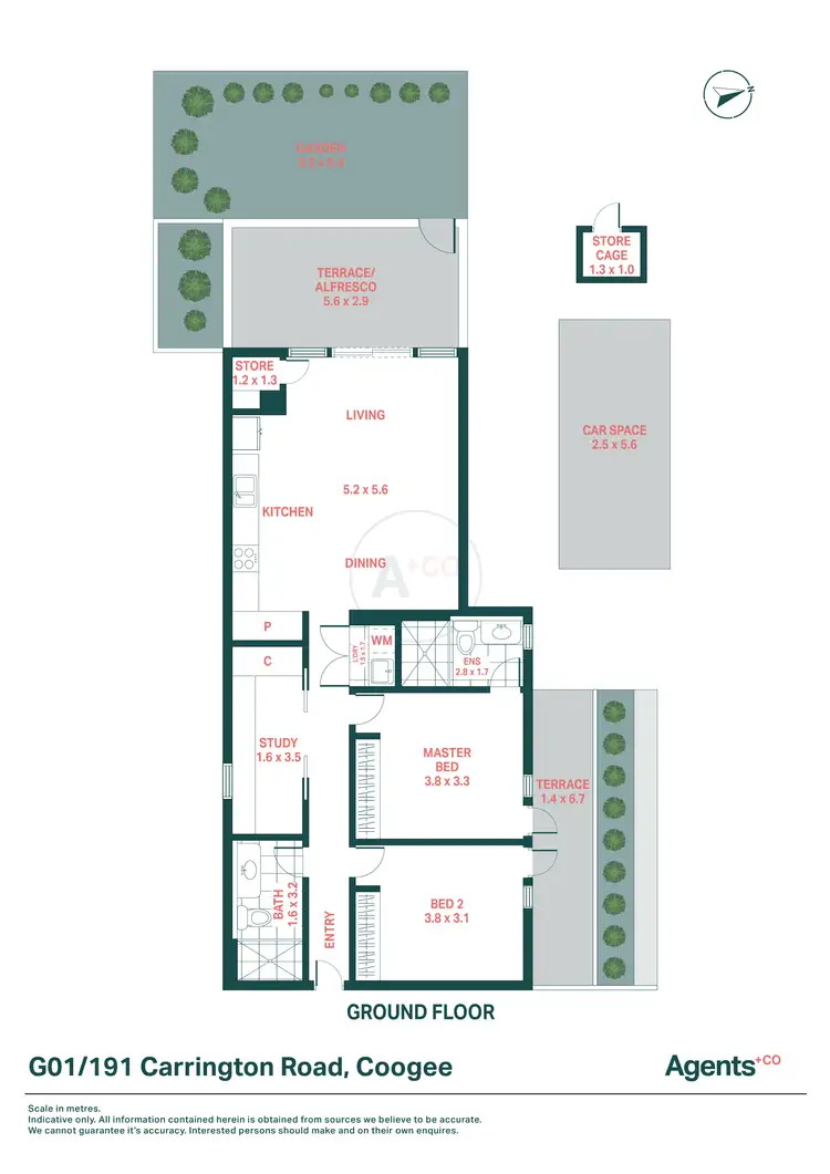 Floorplan of Homely apartment listing, G01/191 Carrington Road, Coogee NSW 2034