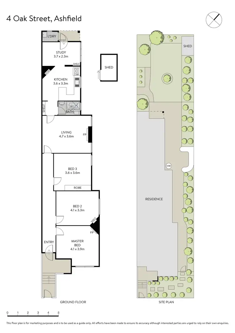 Floorplan of Homely house listing, 4 Oak Street, Ashfield NSW 2131