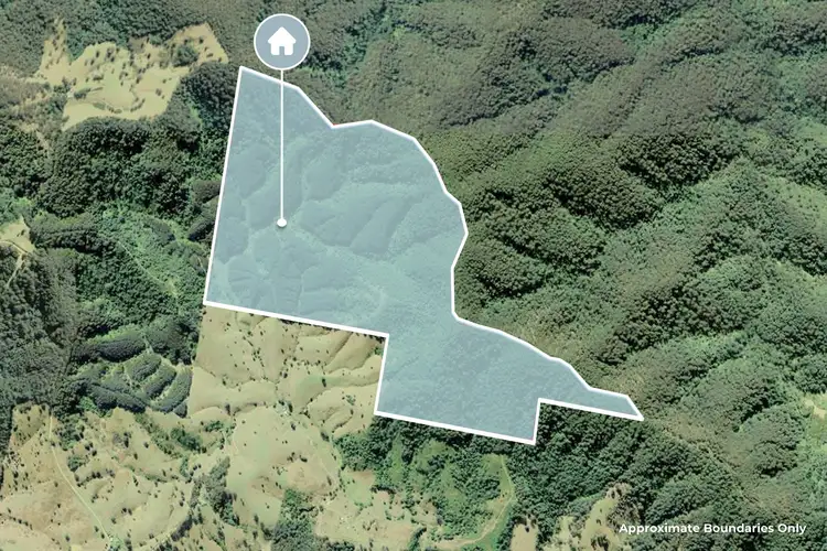 Floorplan of Homely rural property listing, 138 & Borhams Road, Belbora NSW 2422