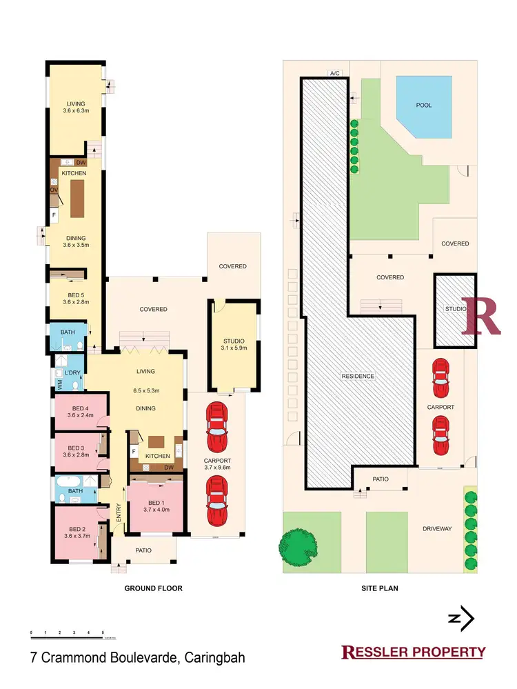 Floorplan of Homely house listing, 7 Crammond Boulevard, Caringbah NSW 2229