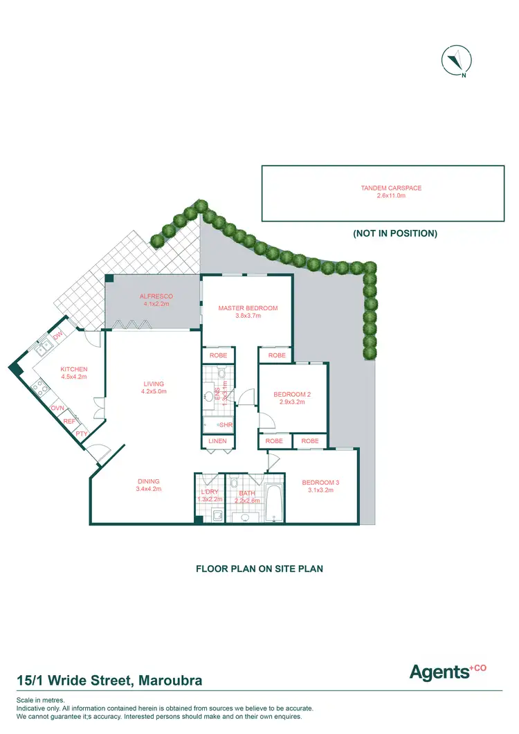 Floorplan of Homely apartment listing, 15/1 Wride Street, Maroubra NSW 2035