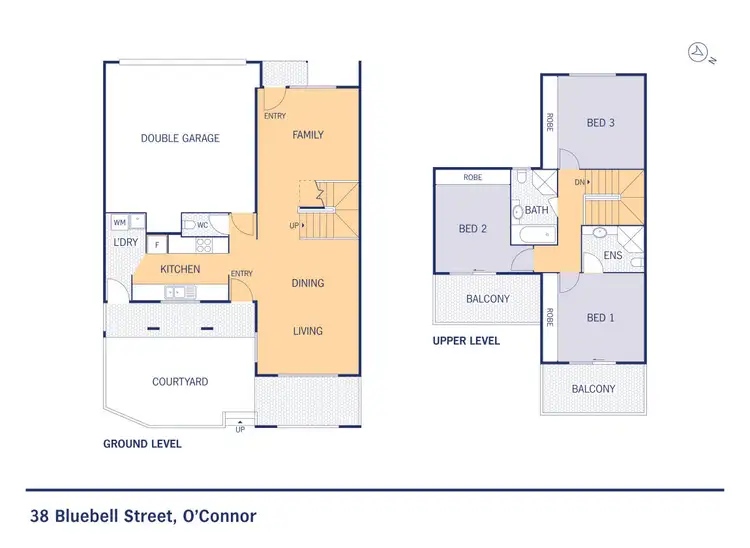 Floorplan of Homely townhouse listing, 38 Bluebell Street, O'connor ACT 2602