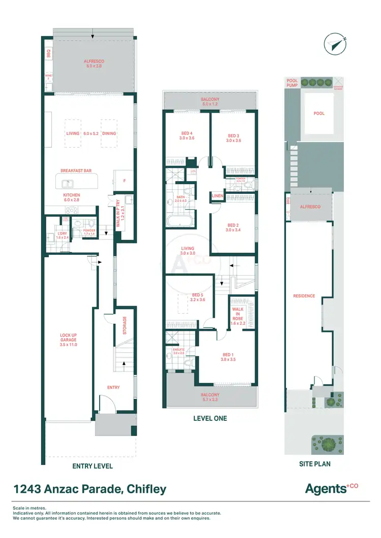 Floorplan of Homely house listing, 1243 Anzac Parade, Chifley NSW 2036