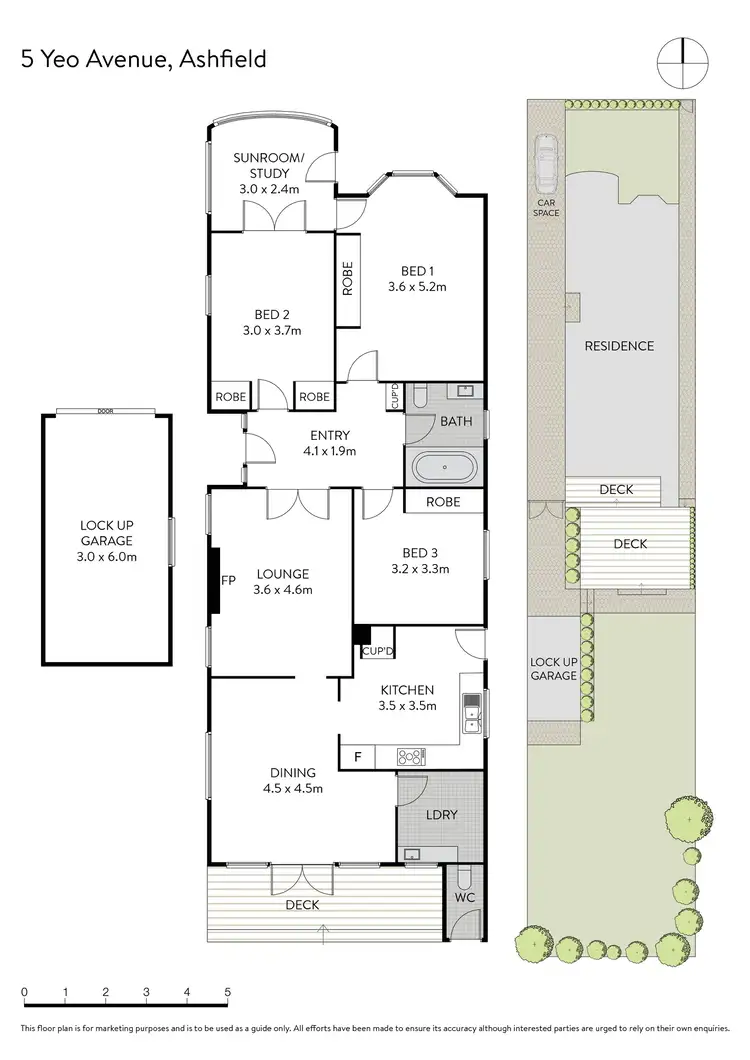 Floorplan of Homely house listing, 5 Yeo Avenue, Ashfield NSW 2131