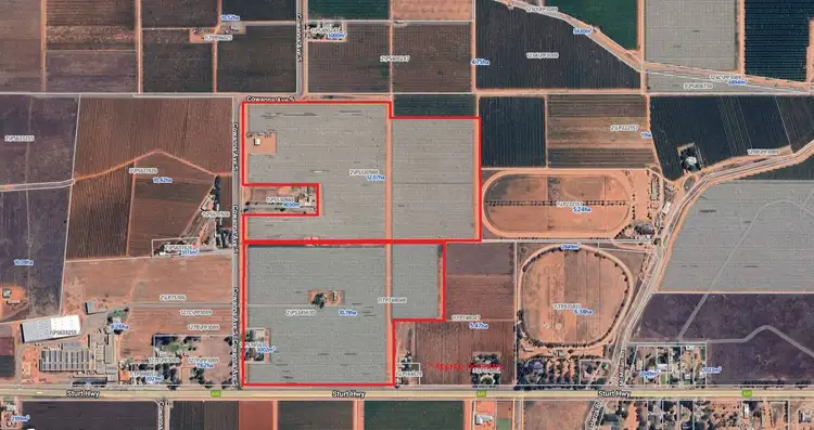 Floorplan of Homely rural property listing, 221 & 245 Cowanna Avenue, Merbein South VIC 3505