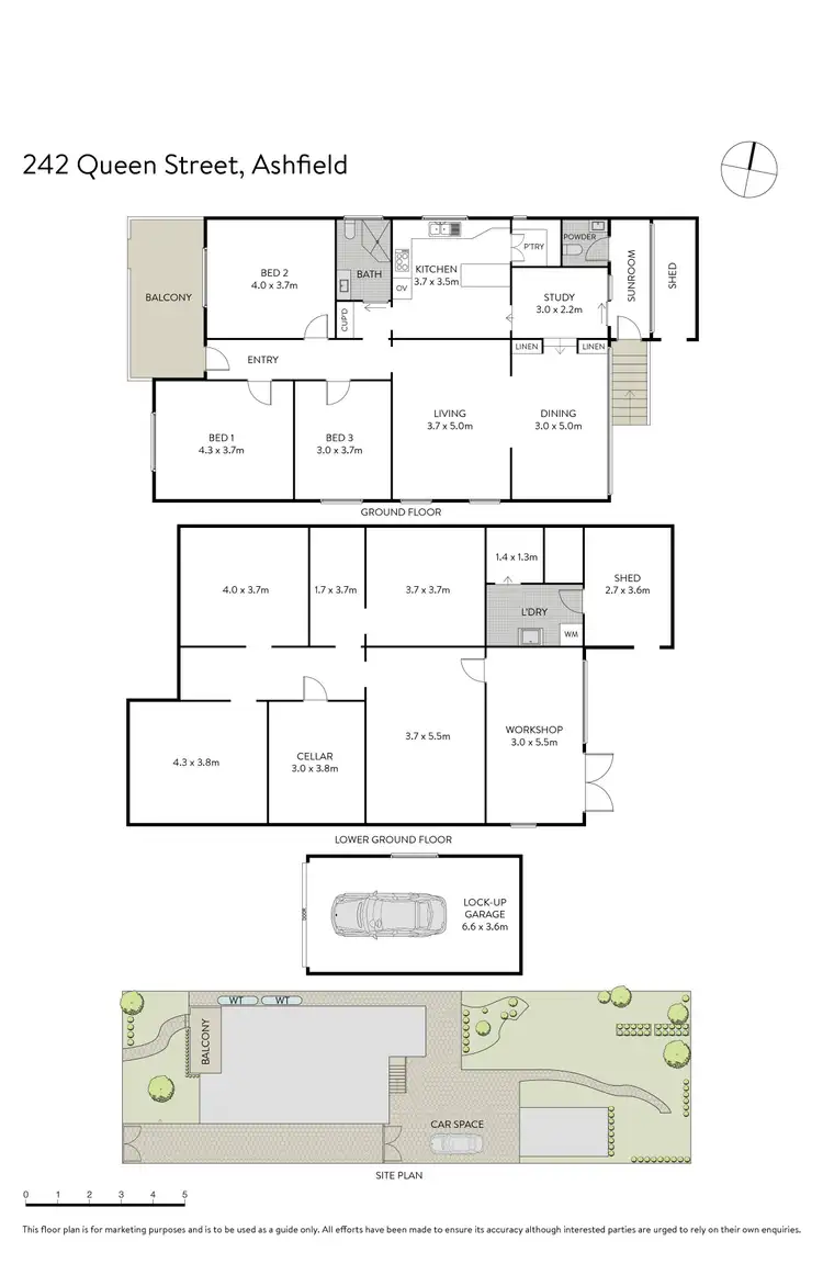 Floorplan of Homely house listing, 242 Queen Street, Ashfield NSW 2131