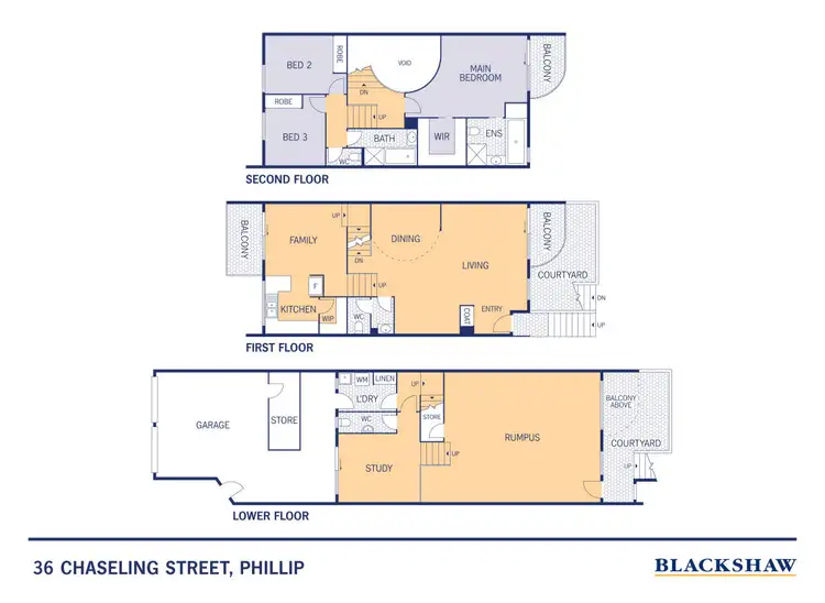 Floorplan of Homely house listing, 36 Chaseling Street, Phillip ACT 2606