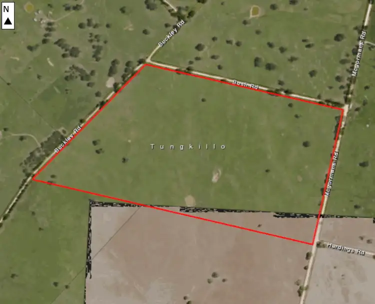 Floorplan of Homely rural property listing, Lot 115 Mcgormans Road, Tungkillo SA 5236