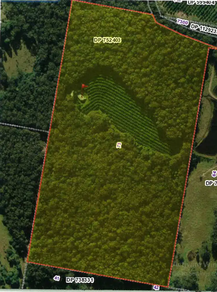 Floorplan of Homely rural property listing, 137 Browns Road, Yarrahapinni NSW 2441