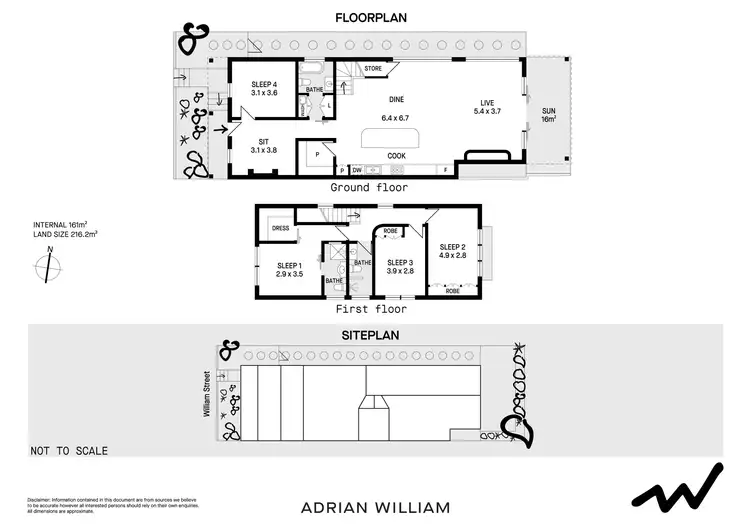 Floorplan of Homely house listing, 10 William Street, Ashfield NSW 2131