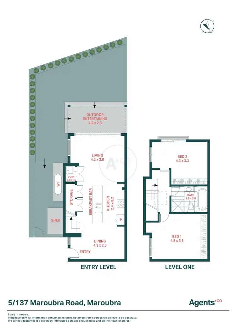 Floorplan of Homely townhouse listing, 5/137 Maroubra Road, Maroubra NSW 2035