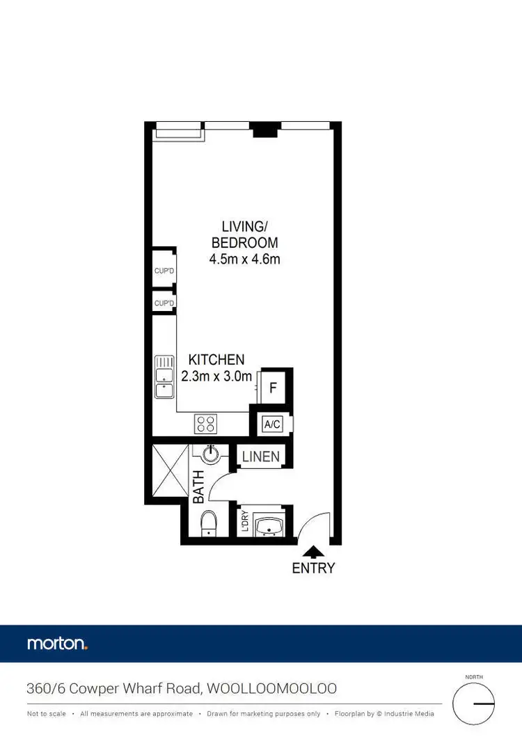 Floorplan of Homely studio listing, 360/6 Cowper Wharf Road, Woolloomooloo NSW 2011