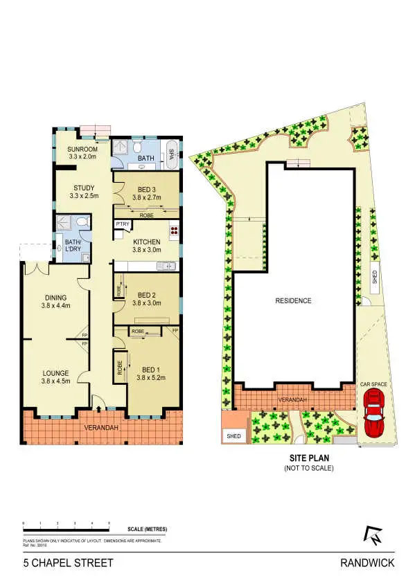 Floorplan of Homely house listing, 5 Chapel Street, Randwick NSW 2031