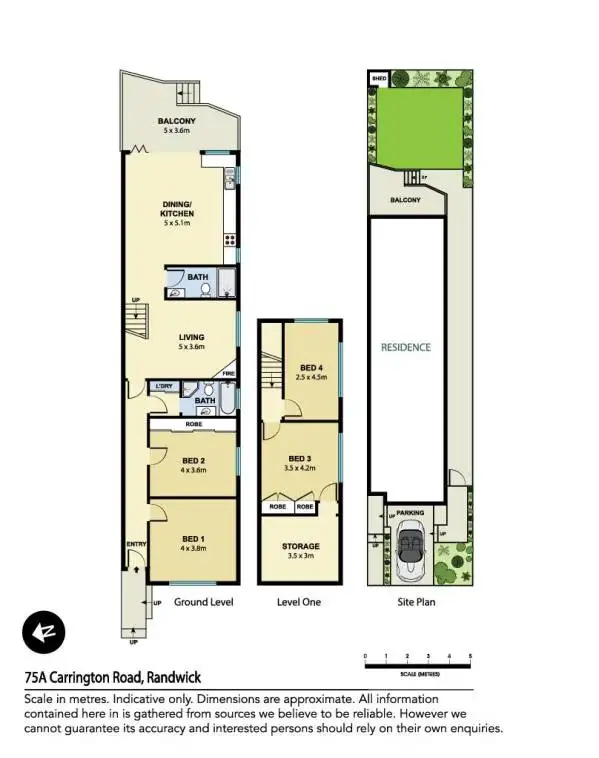 Floorplan of Homely house listing, 75A Carrington Road, Randwick NSW 2031