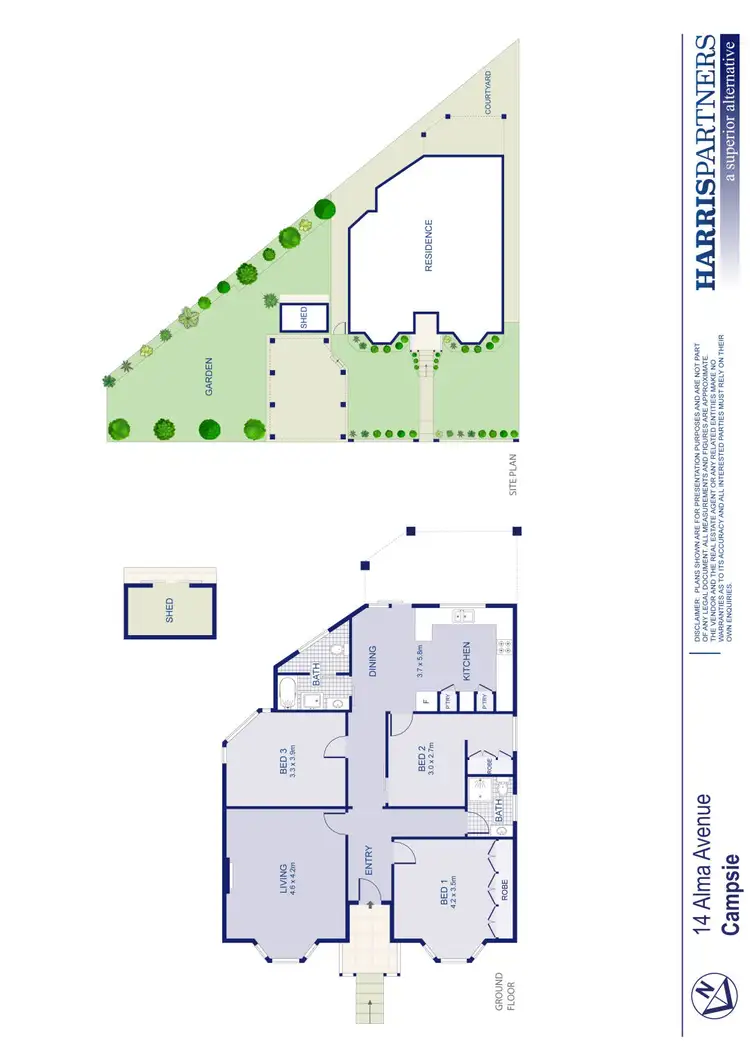Floorplan of Homely house listing, 14 Alma Avenue, Campsie NSW 2194