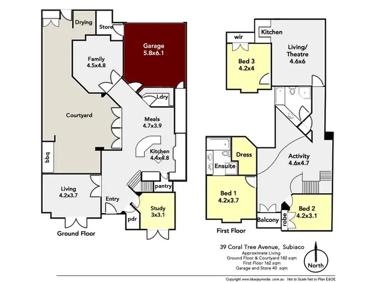 Floorplan of Homely house listing, 39 Coral Tree Avenue, Subiaco WA 6008