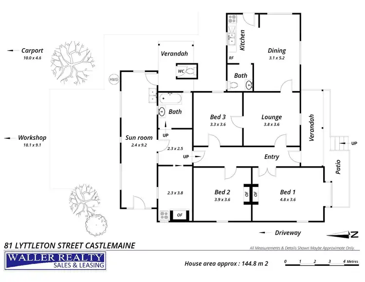 Floorplan of Homely house listing, 81 Lyttleton Street, Castlemaine VIC 3450