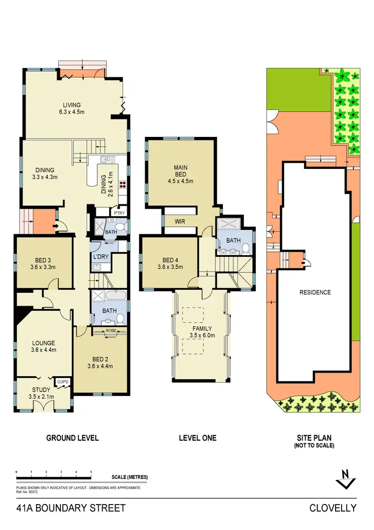 Floorplan of Homely house listing, 41a Boundary Street, Clovelly NSW 2031