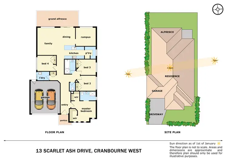 Floorplan of Homely house listing, 13 Scarlet Ash Drive, Cranbourne West VIC 3977