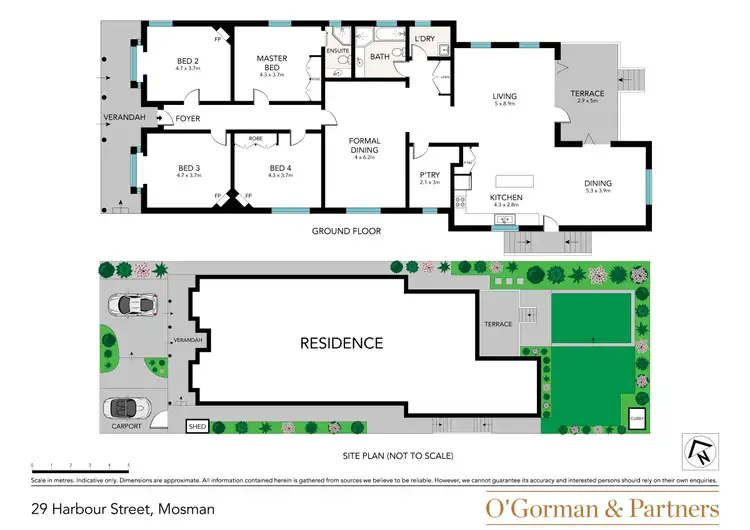 Floorplan of Homely house listing, 29 Harbour Street, Mosman NSW 2088