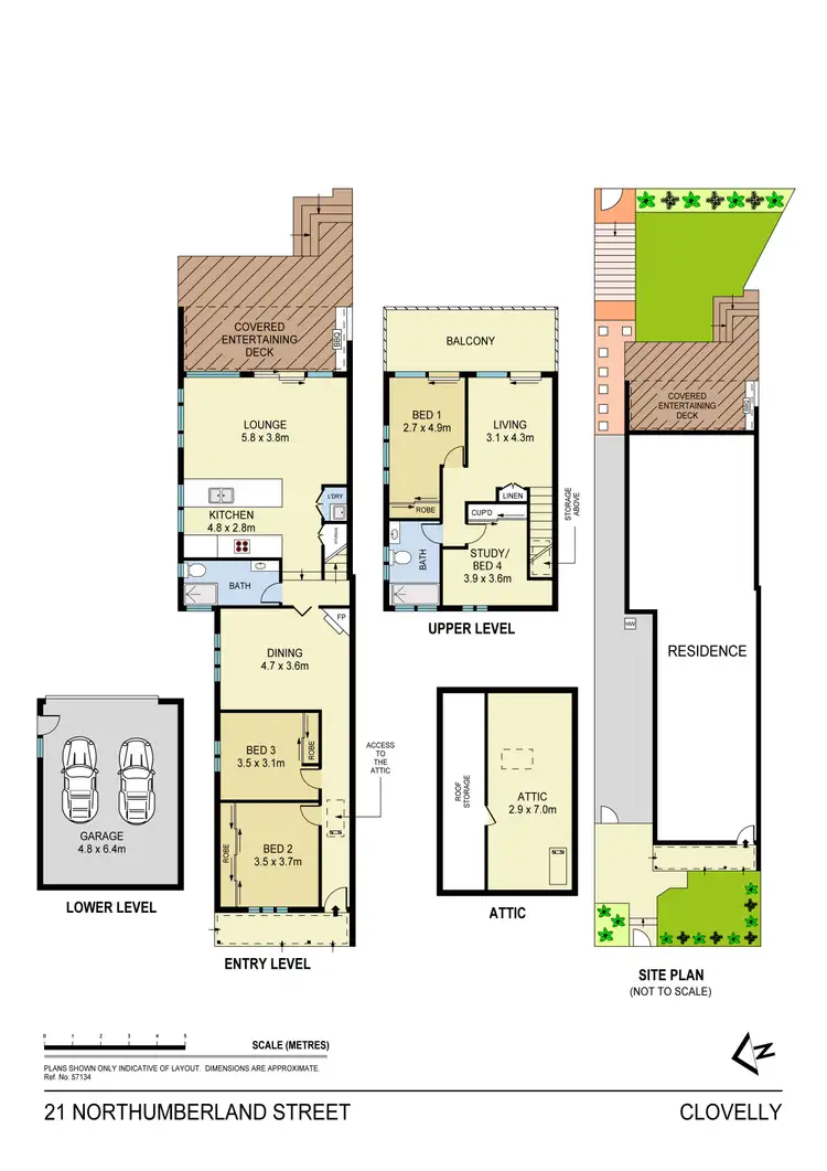 Floorplan of Homely house listing, 21 Northumberland Street, Clovelly NSW 2031