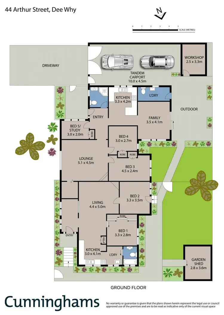 Floorplan of Homely house listing, 44 Arthur Street, Dee Why NSW 2099